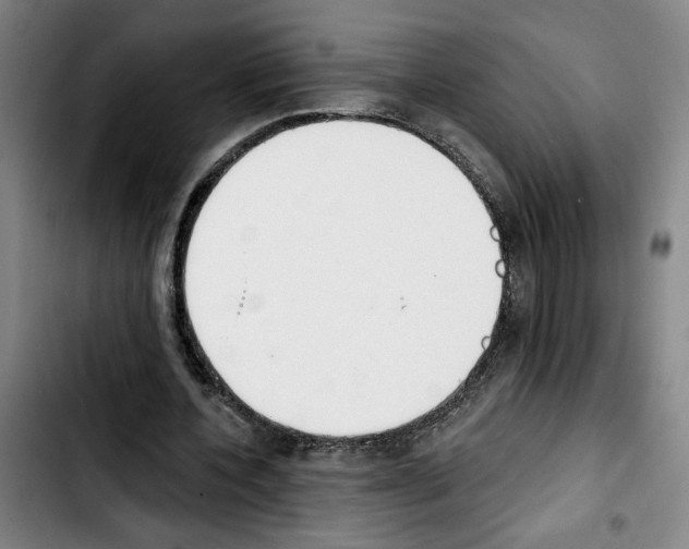 X0000103440532200810241123