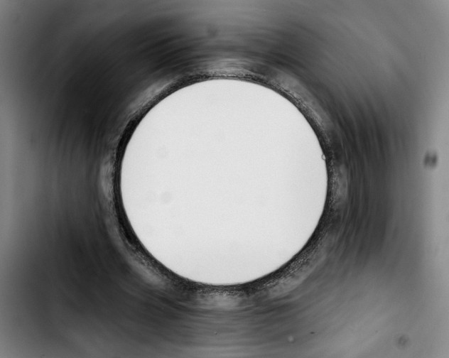 X0000103440533200810241123
