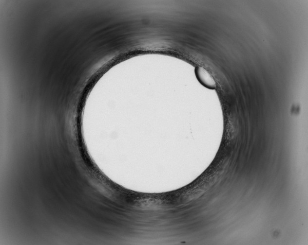 X0000103440535200810241123
