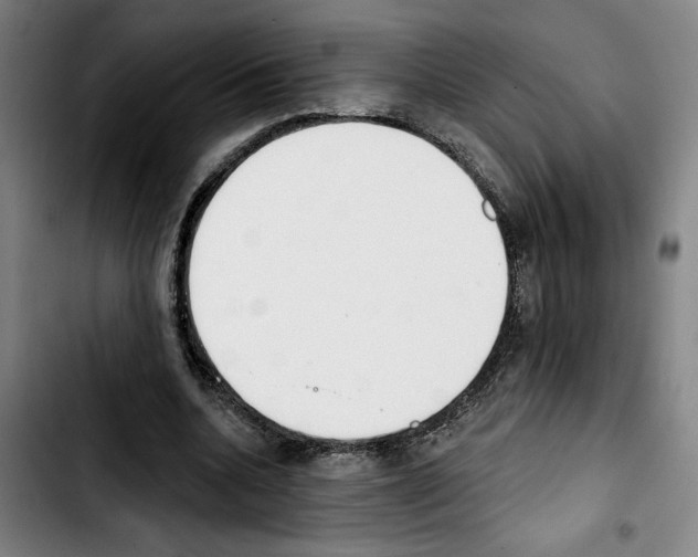 X0000103440536200810241123