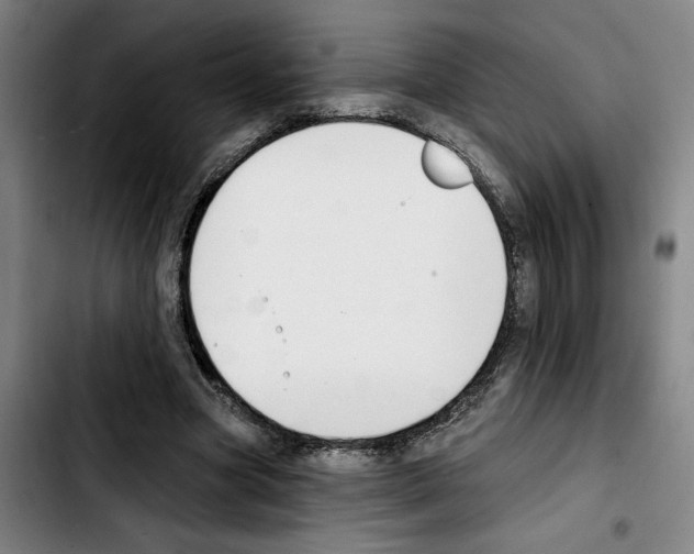 X0000103440537200810241123
