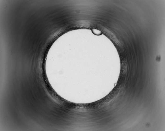 X0000103440538200810241123