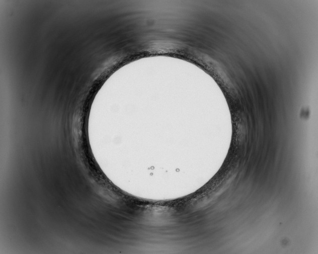 X0000103440539200810241123