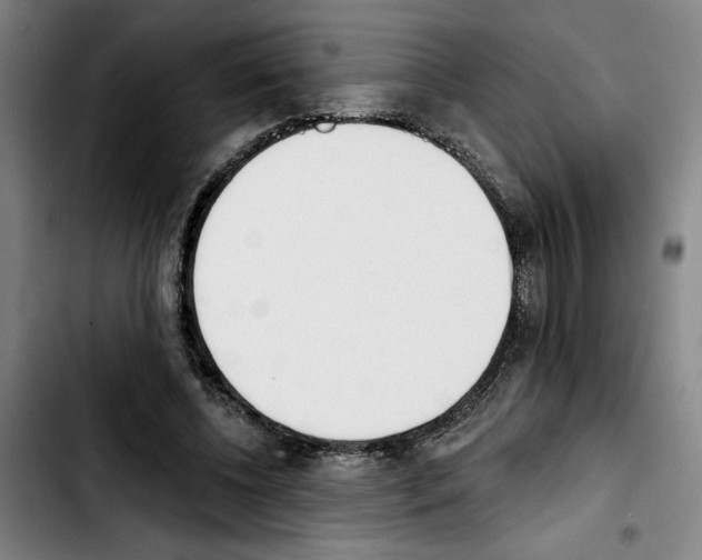 X0000103440540200810241123