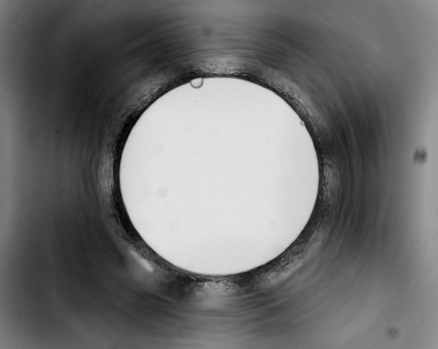 X0000103440541200810241123