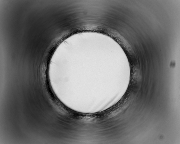 X0000103440542200810241123