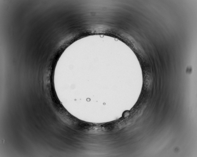 X0000103440543200810241123