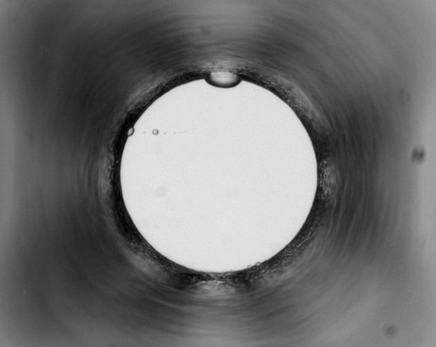 X0000103440544200810241123