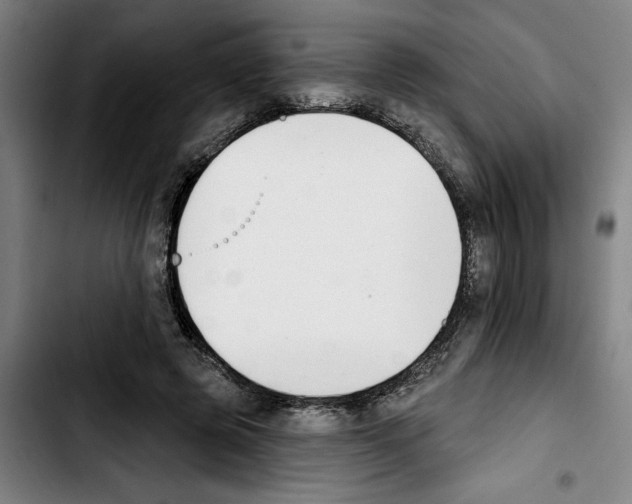 X0000103440545200810241123