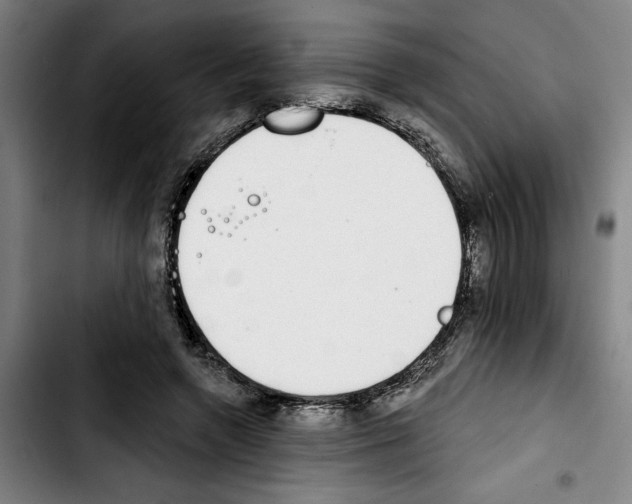 X0000103440546200810241123