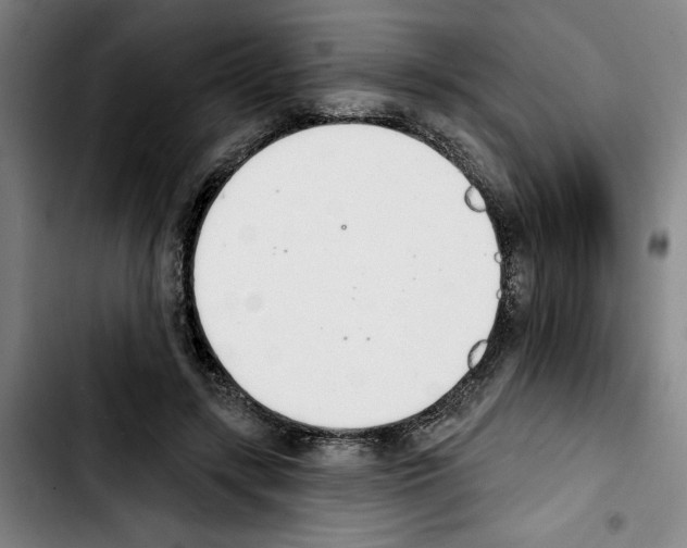 X0000103440547200810241123