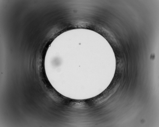 X0000103440548200810241124