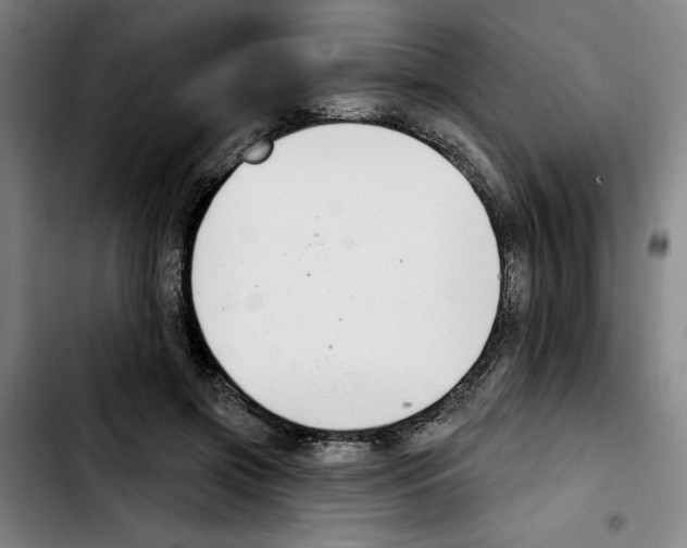 X0000103440549200810241124