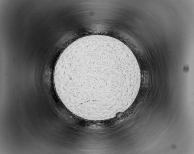 X0000103440550200810241124