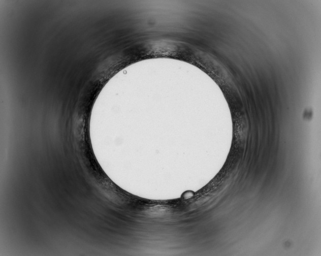 X0000103440551200810241124