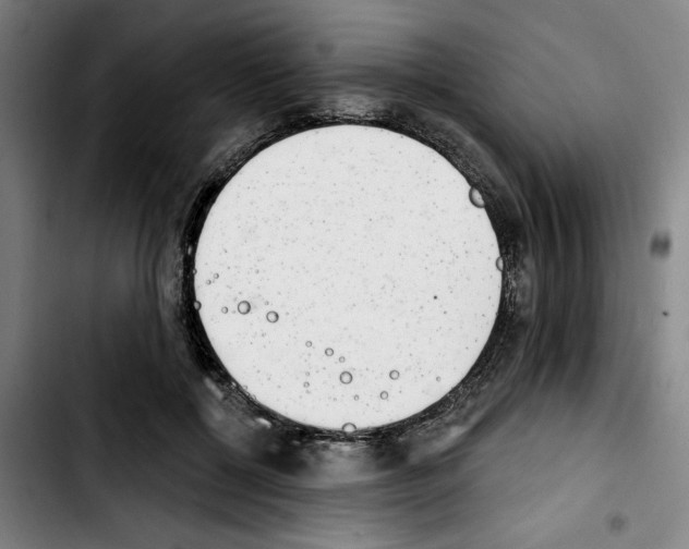 X0000103440552200810241124