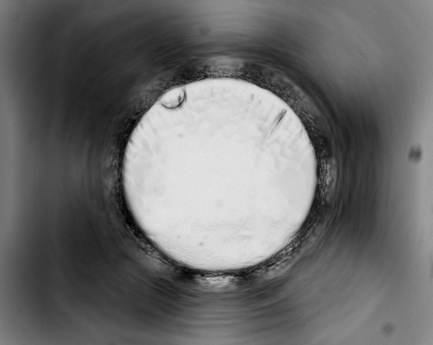 X0000103440553200810241124