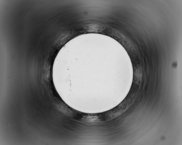 X0000103440554200810241124