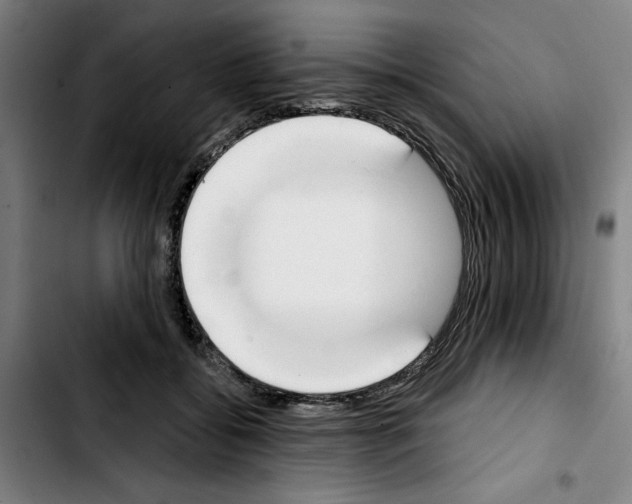 X0000103440556200810241124