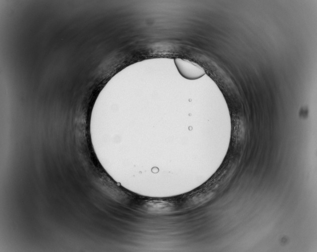 X0000103440557200810241124