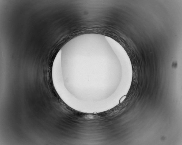 X0000103440558200810241124