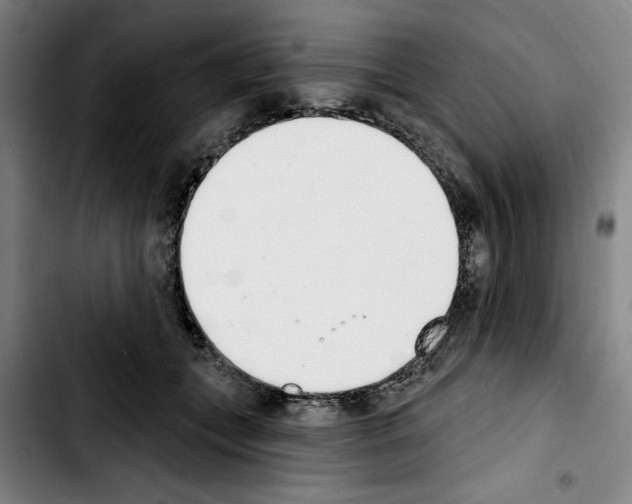 X0000103440559200810241124