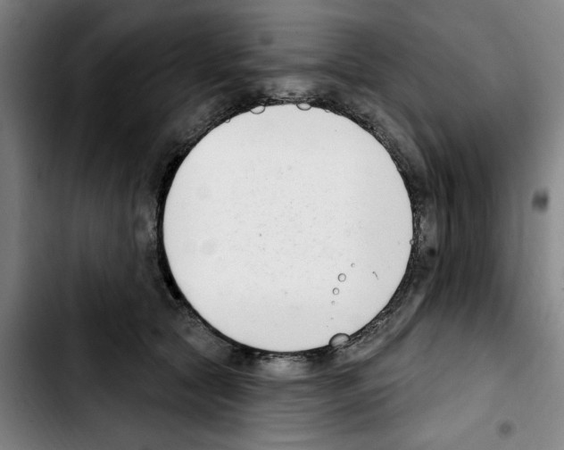 X0000103440561200810241124