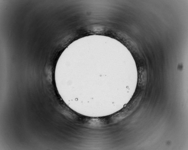X0000103440562200810241124