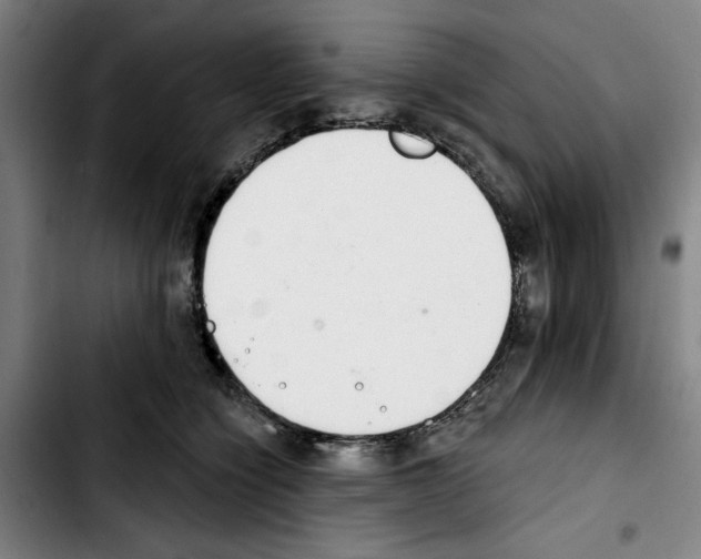 X0000103440564200810241124