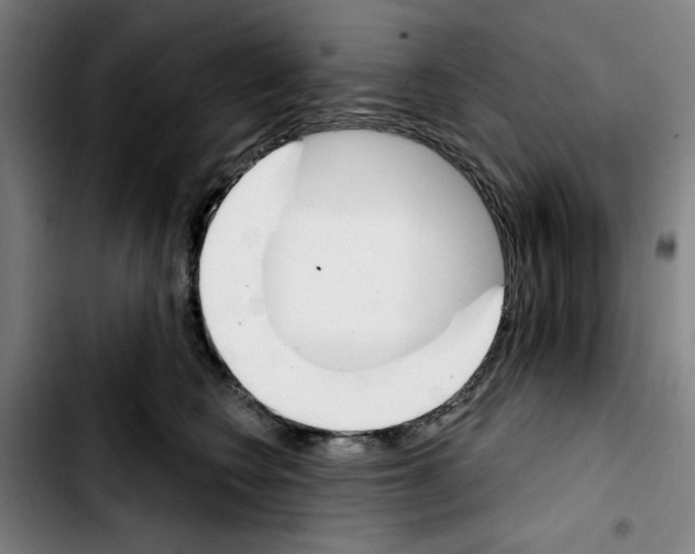 X0000103440566200810241124