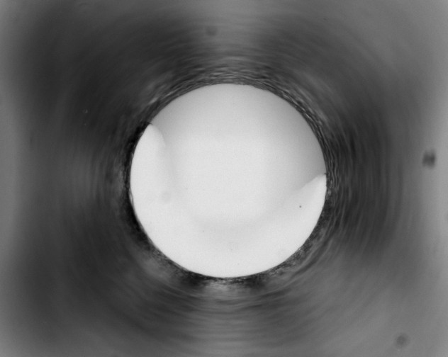 X0000103440568200810241124