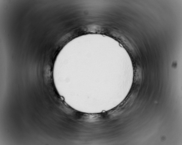 X0000103440569200810241124