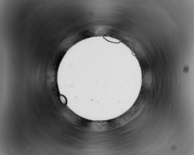 X0000103440571200810241124