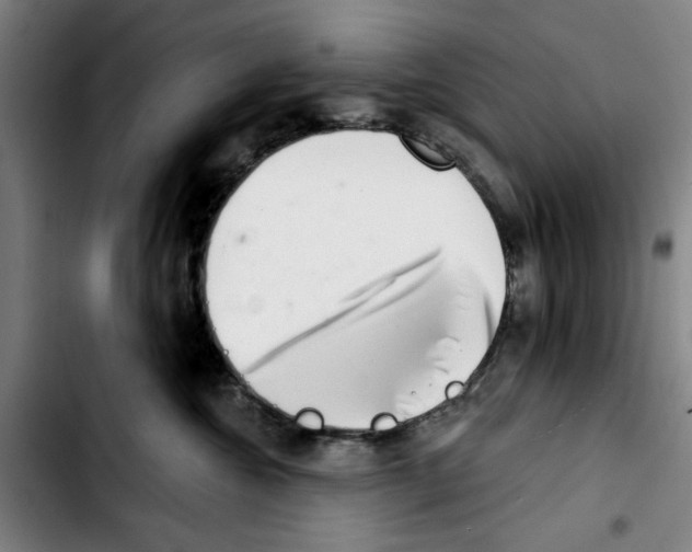 X0000103440572200810241124