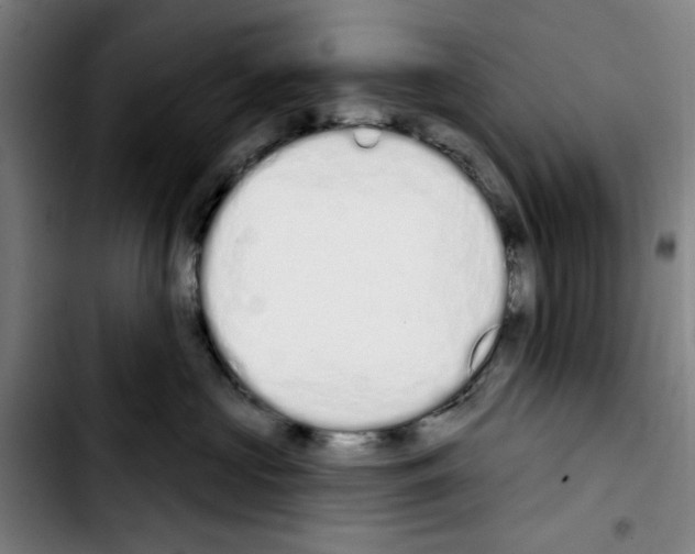 X0000103440573200810241124