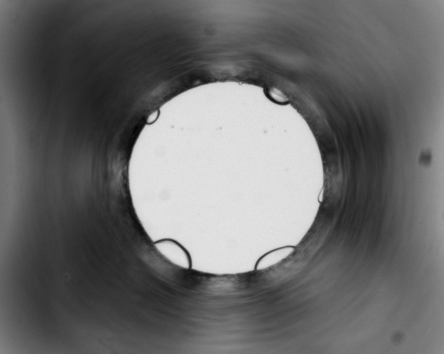 X0000103440574200810241124