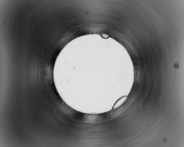 X0000103440575200810241124