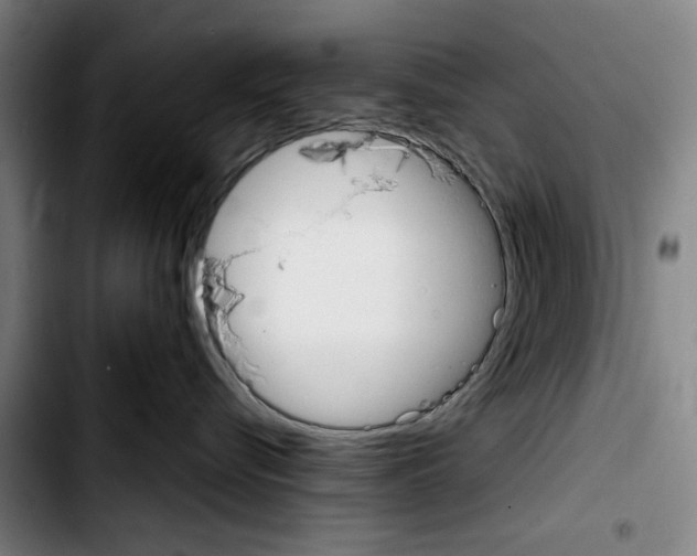 X0000103440576200810241124