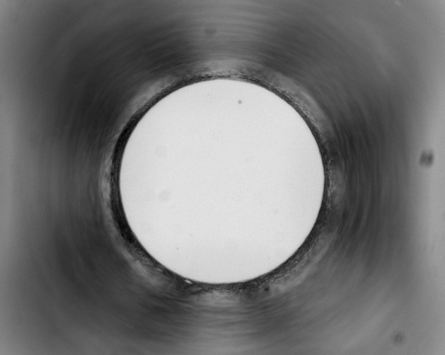 X0000103440578200810241123