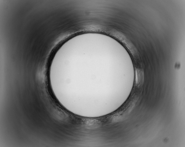 X0000103440579200810241123