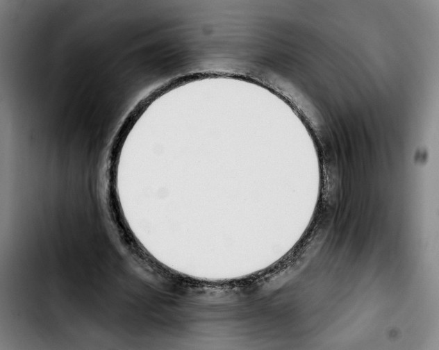 X0000103440580200810241123