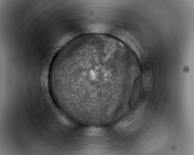 X0000103440581200810241123