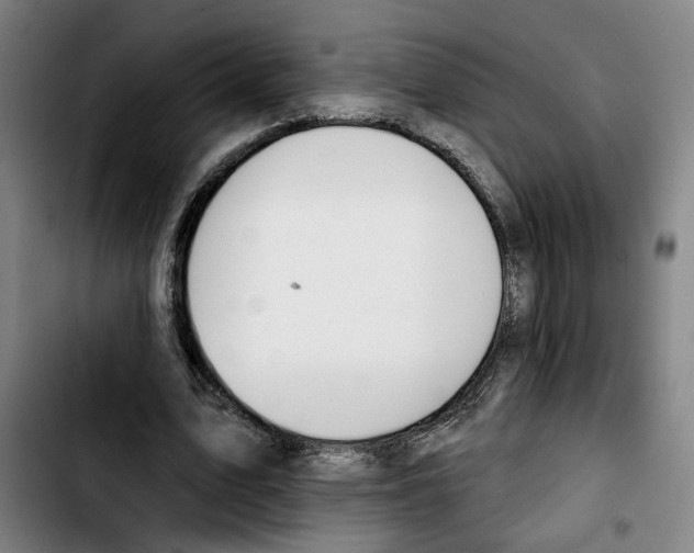 X0000103440583200810241123