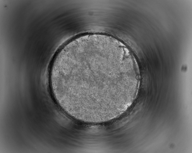 X0000103440584200810241123