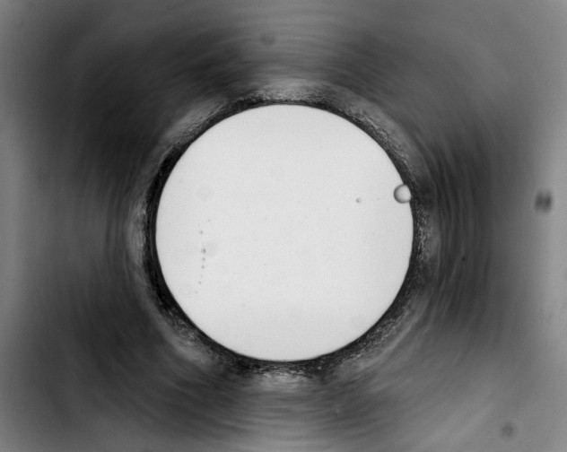 X0000103440586200810241123
