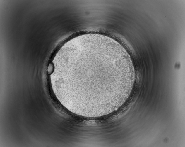 X0000103440588200810241123