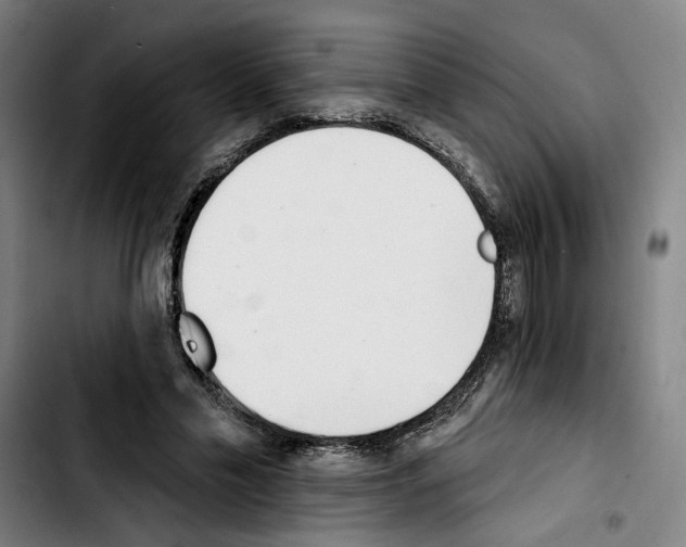 X0000103440589200810241123