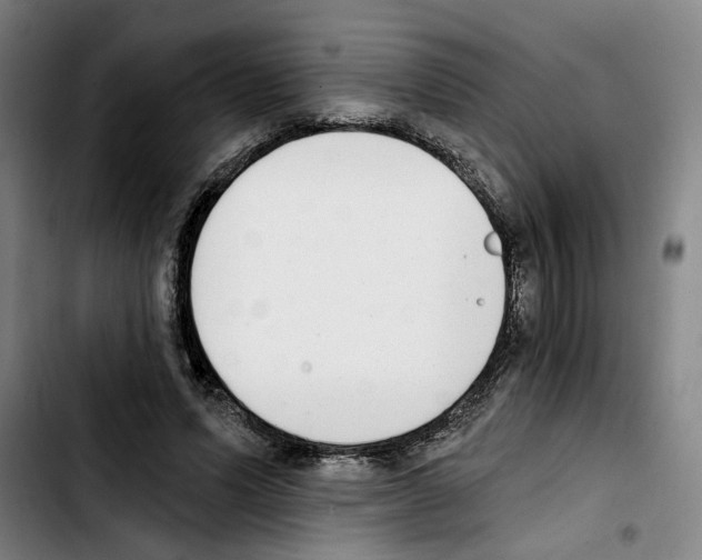 X0000103440591200810241123