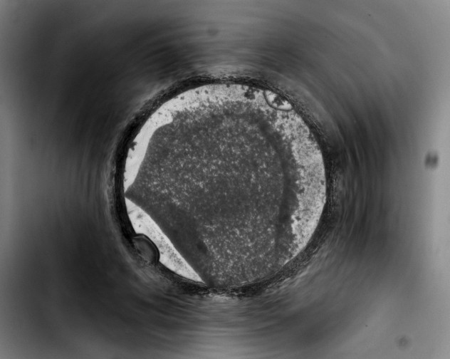 X0000103440592200810241123