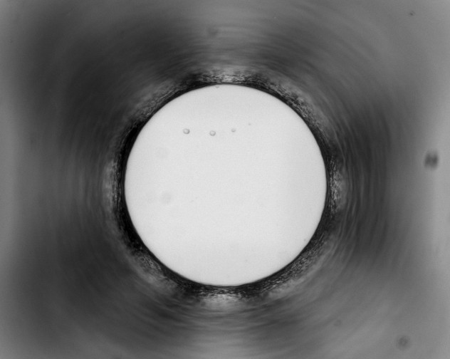 X0000103440594200810241123